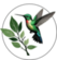GAIA | Consultoria Ambiental BGA